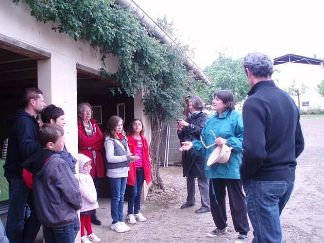 Ferme Gardelly