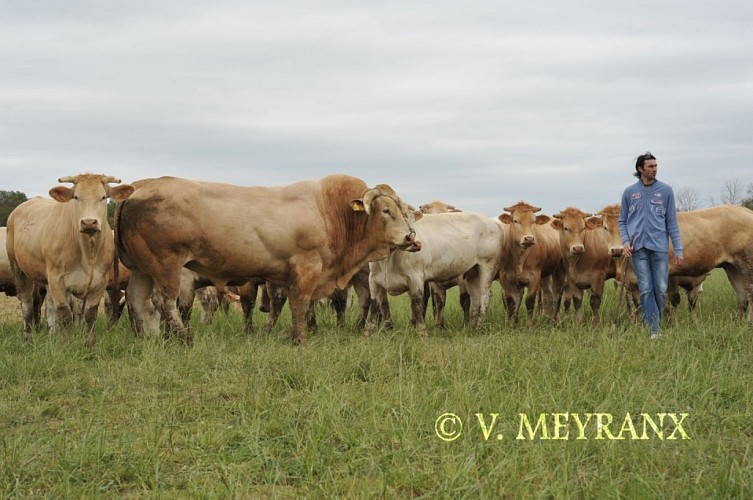 Ferme de Gardelly_5