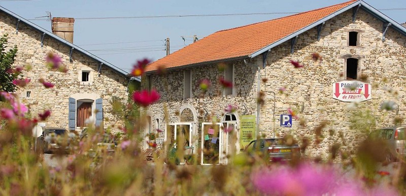 Domaine-darmandieu-magasin-exterieur2