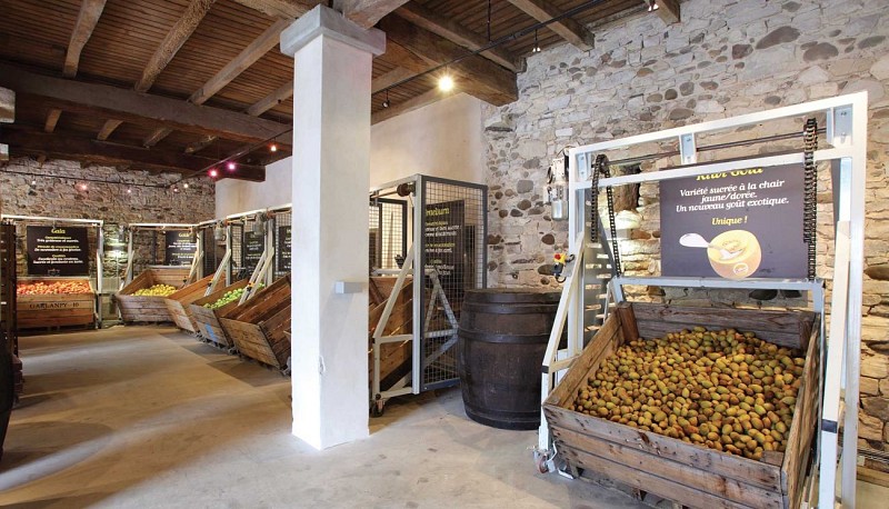 Domaine-darmandieu-slide-magasin2