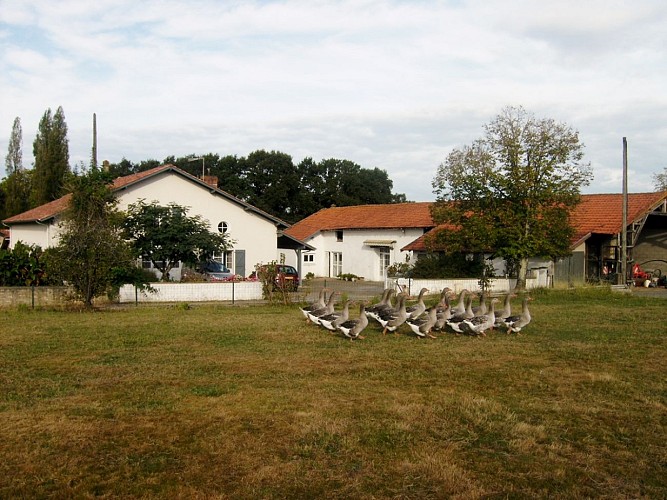 Ferme Pélerin