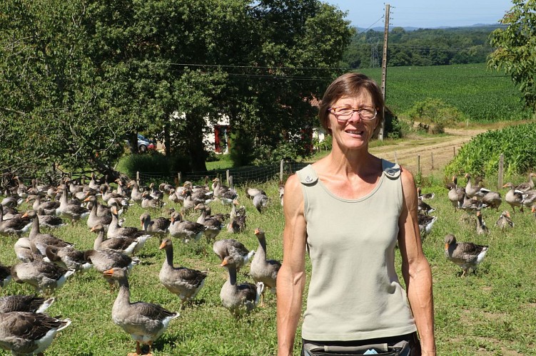La tradition landaise - production d'oies (20)