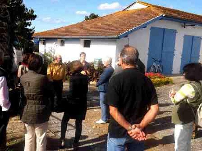 LaTraditionLandaise-Visite-Bélus_OTPaysdOrthe