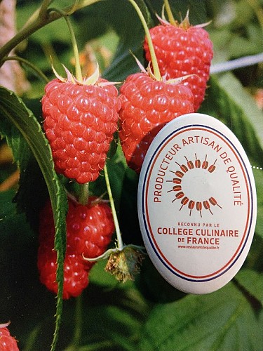 College-culinaire-France-Framboises_1