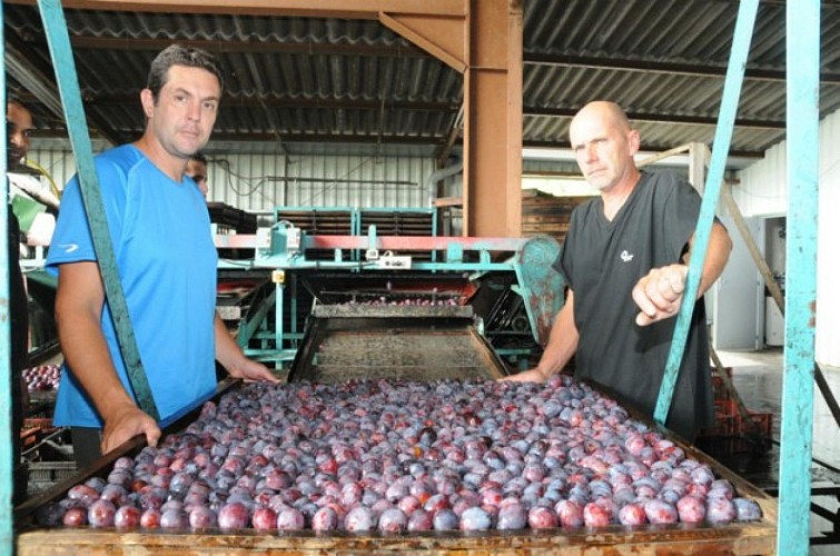 famille_bordes_dauba