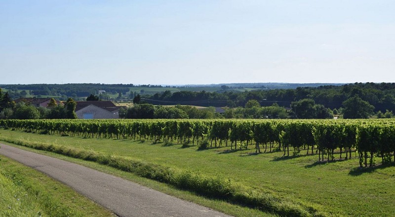 autour-duras-domaine-les-bertins--53--2