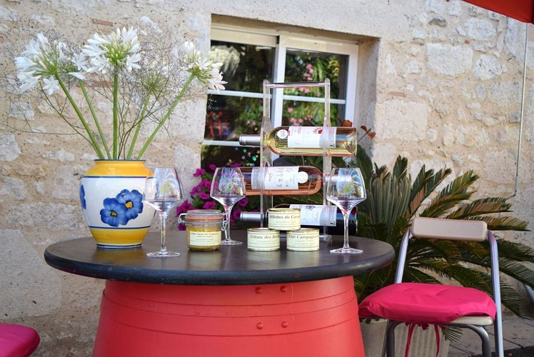 autour-duras-domaine-les-bertins--31--2