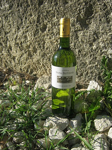 Dame Bertrande St Astier bouteille blancréduit