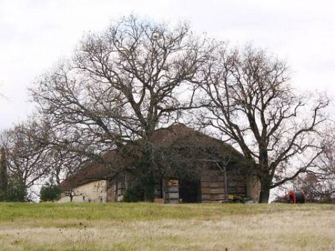 cconfluent_deg_domainedelagouttedor_bâtiment