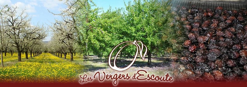 36364551_1944343388909281_2839308613443387392_o