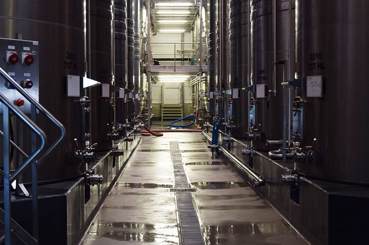 autour-duras-cave-berticot--3--2 