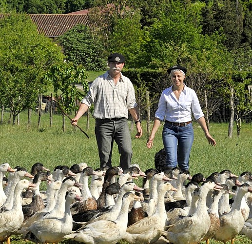 accueillant-caramaps-ferme-de-souleilles-foie-gras-frespech-533827