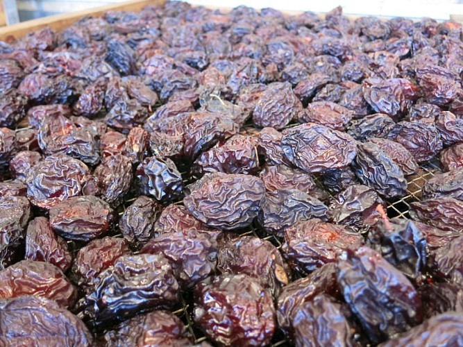 pruneau d'agen Bérino Martinet Ferme et Musée du pruneau