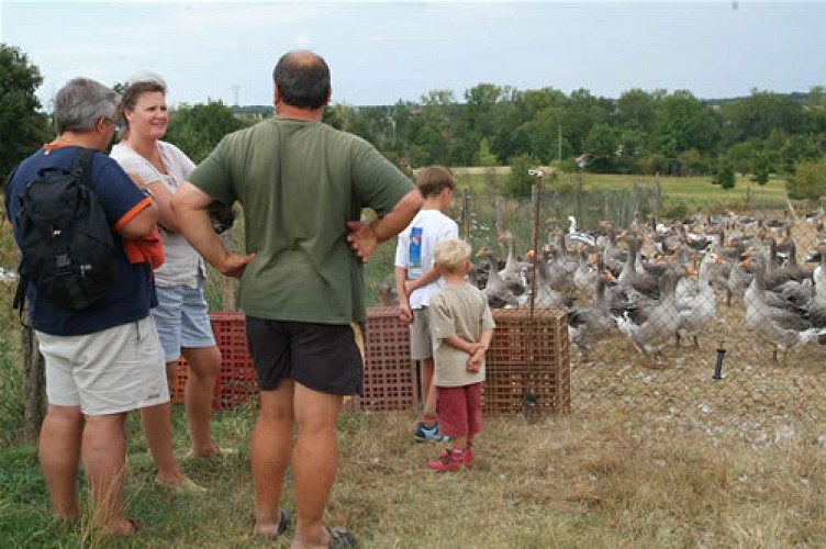 OT VILLEREAL - Ferme de Michaumaillé