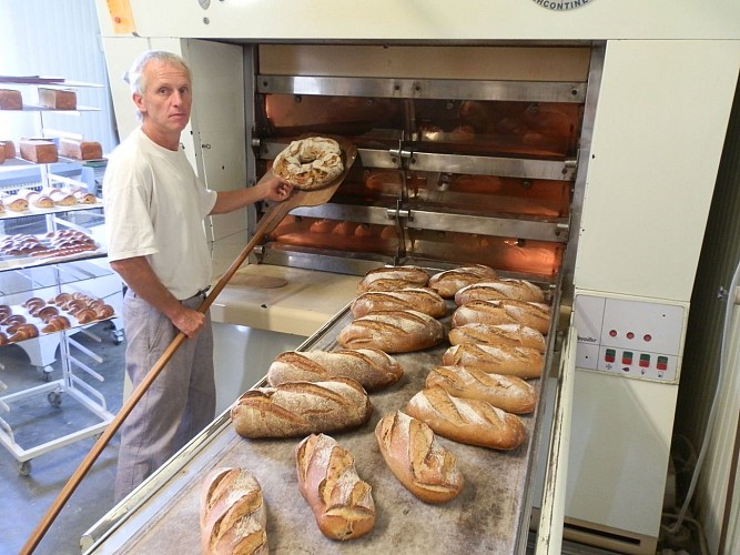 84328666_129795308539543_724188789559263232_n