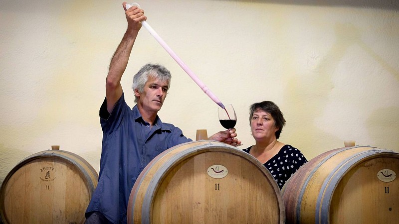 OlivierDelage Domaine Paillo