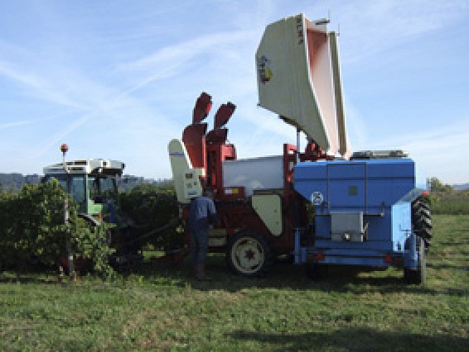 Domaine de Cantelauze