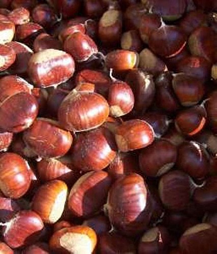 Les Fabuleux Délices