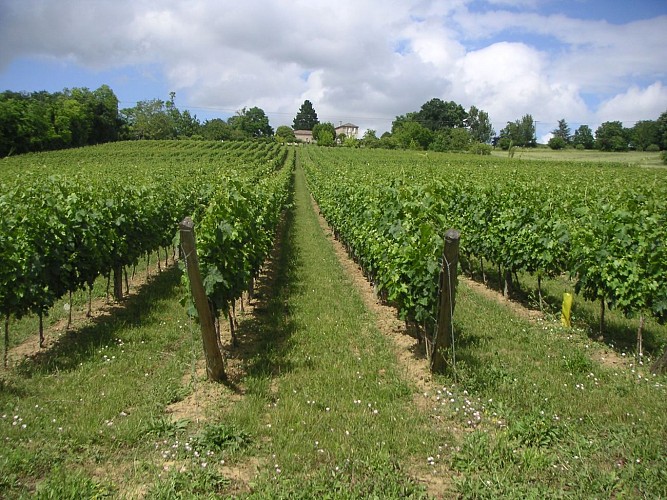 Domaine de Beyssac