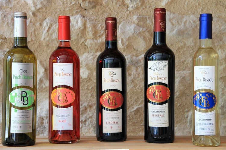 Autour d'eymet_issigeac_Clos du Pech Bessou (52)_2