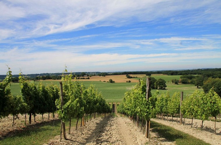 Autour d'eymet_issigeac_Clos du Pech Bessou (41)_2