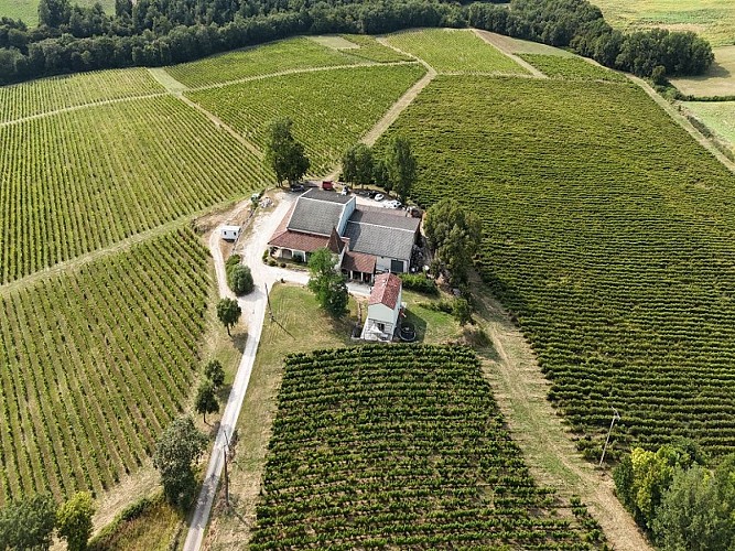 chateau-sauvagneres-sainte-colombe-en-brulhois-destination-agen-tourisme