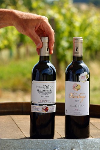 Domaine-Calbo--Albret-Tourisme-30-
