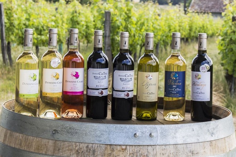 Domaine-Calbo--Albret-Tourisme-15-