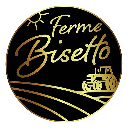 Logo_Bisetto