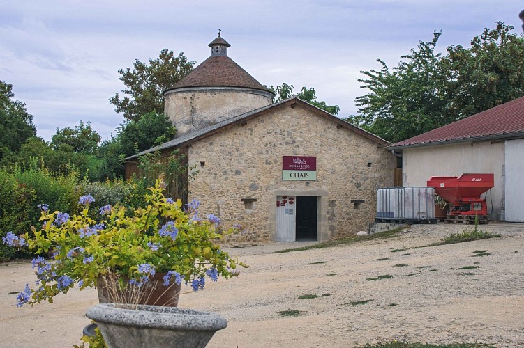 Château de Lisse