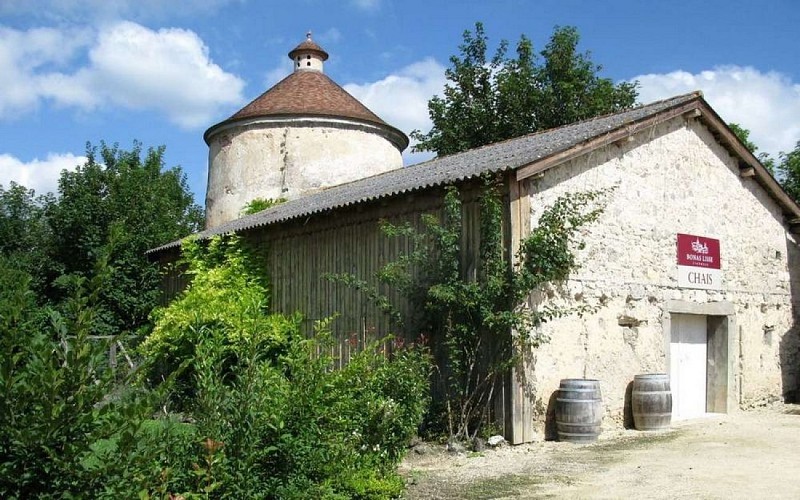 Chateau-de-Lisse