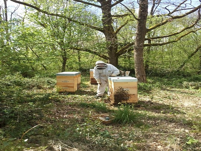 DEG_Apiculteur_Montpezat3 ©M.Lamire