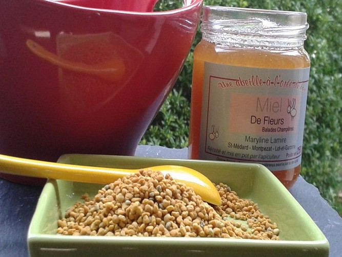 DEG_Apiculteur_Montpezat2 ©M.Lamire