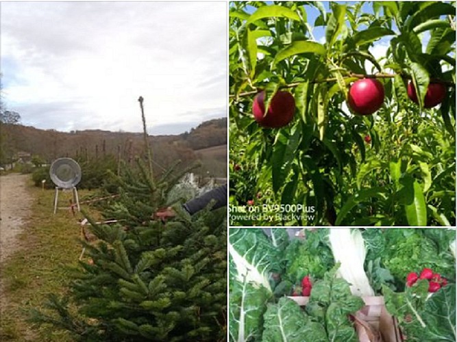 les-vergers-de-sauvagnas-destination-agen-tourisme