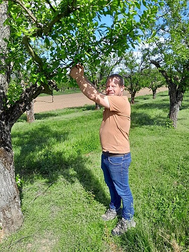 les-vergers-de-sauvagnas-destination-agen-tourisme