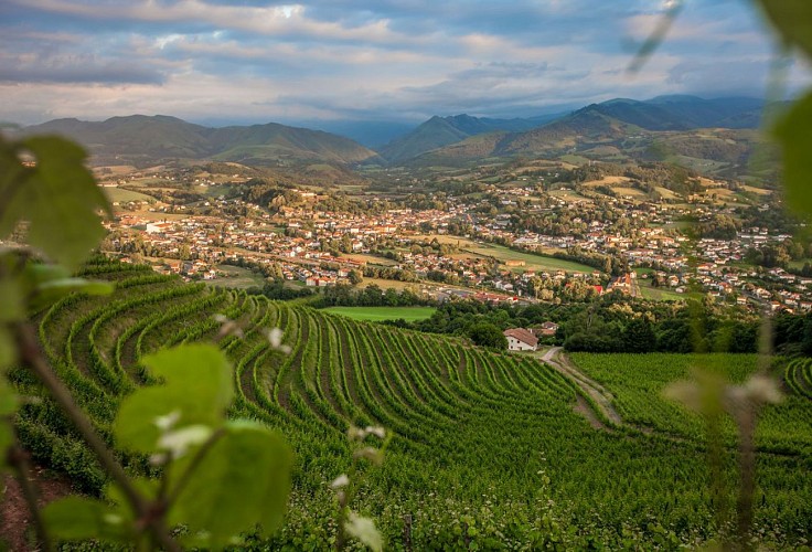 Domaine Etienne Brana - vue vignoble montagne basque - Saint Jean Pied de Port