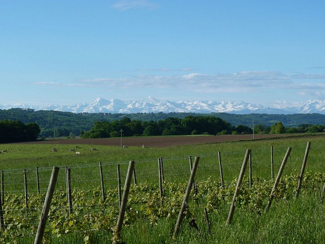 vue Domaine du clos basté - Moncaup - Tourisme Nord Béarn