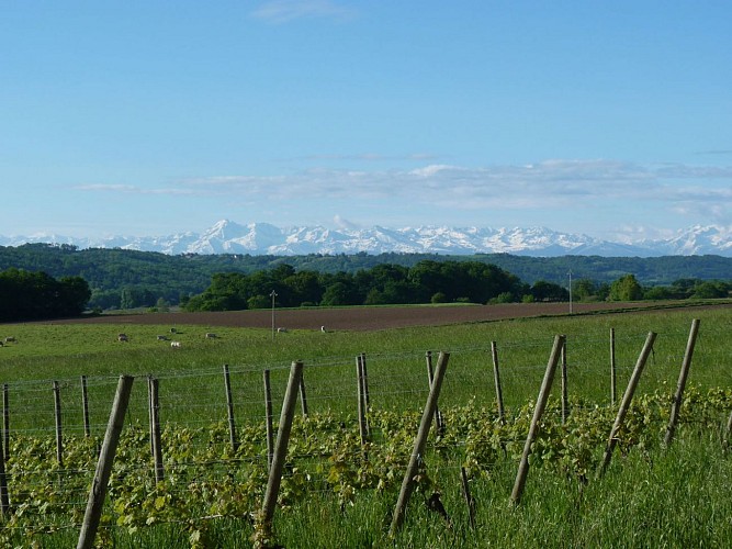 vue Domaine du clos basté - Moncaup - Tourisme Nord Béarn