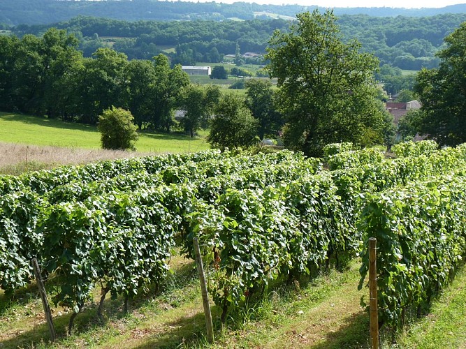 Taron Domaine de la Caillabère cps Tourisme Nord Béarn  (2)