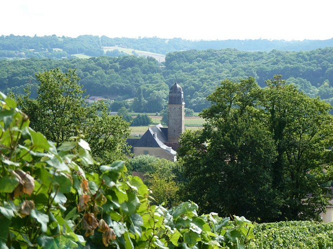 Taron Domaine de la Caillabère cps Tourisme Nord Béarn  (3)