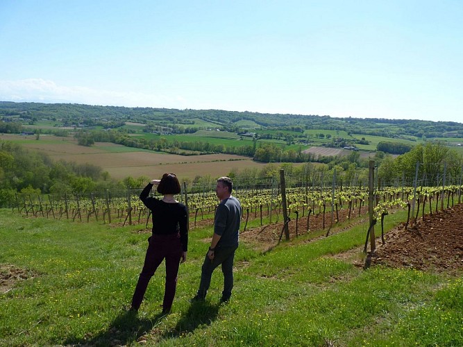 Castillon domaine meste bertrand credit tourisme madiran (14)