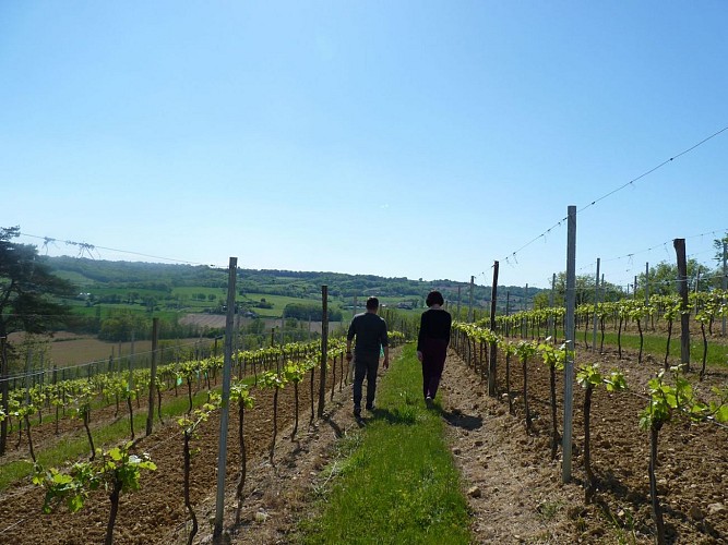 Castillon domaine meste bertrand credit tourisme madiran(10)