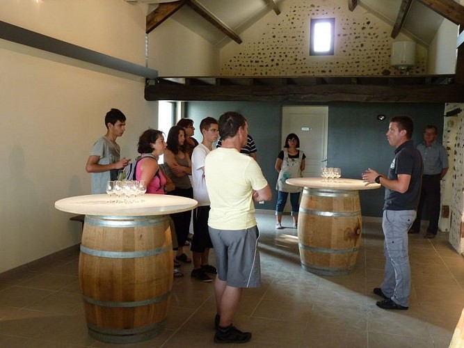 domaine-meste-bertrand-castillon-visite