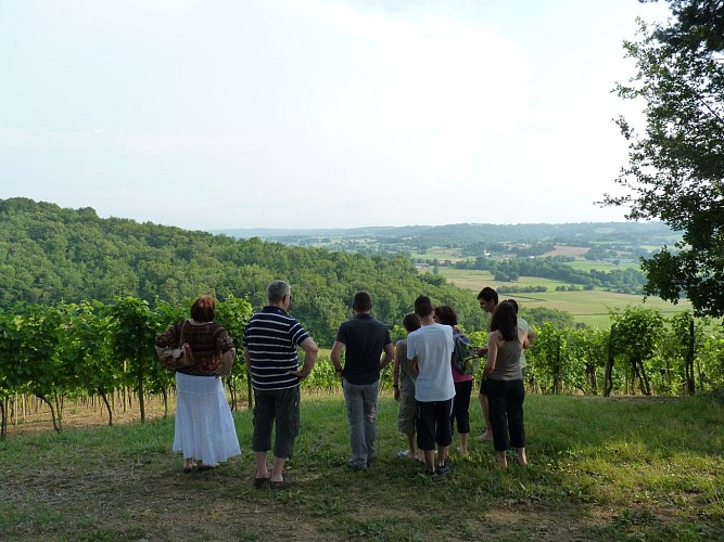 Castillon domaine meste bertrand madiran 