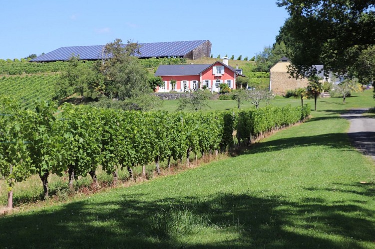 Domaine Bellegarde monein visite guidée©otcdb (1)