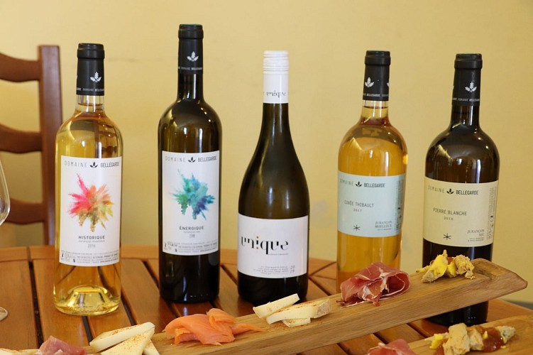 Domaine Bellegarde monein visite guidée©otcdb (20)