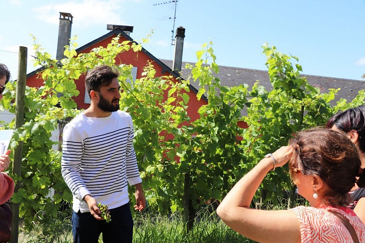 Domaine Bellegarde monein visite guidée©otcdb (7)