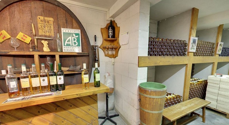 Domaine bru baché monein (4)