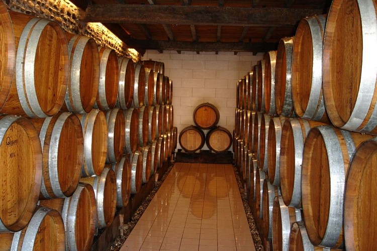Domaine bru baché monein (1)