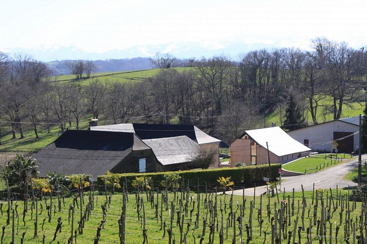 Domaine capdevielle monein 12 [HDTV (1080)]